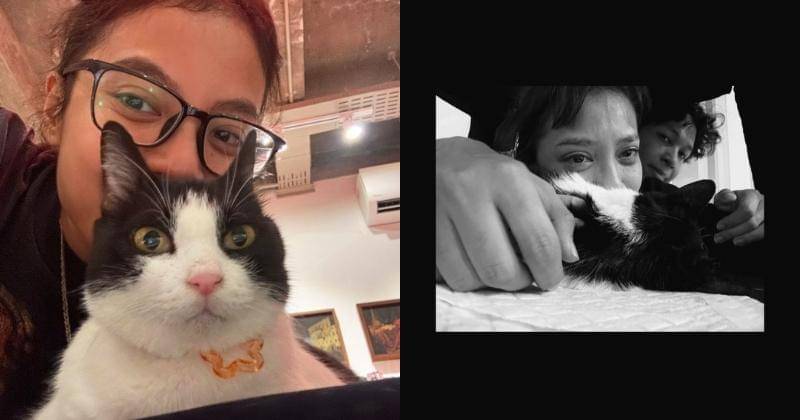 Instagram.com/wordfangs/meidianatahir